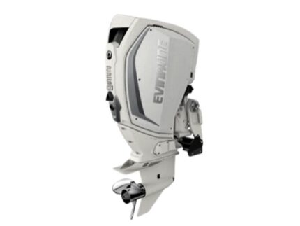 Evinrude H225HWXF 225 HO Outboard Motor
